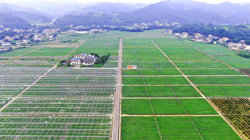 1653615364.png 图片.png