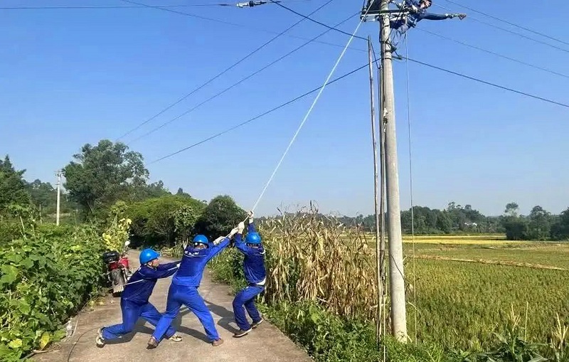 图片.png